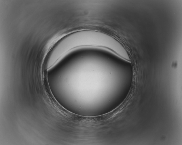 X0000116460294200912231406