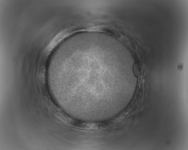 X0000116460295200912231406