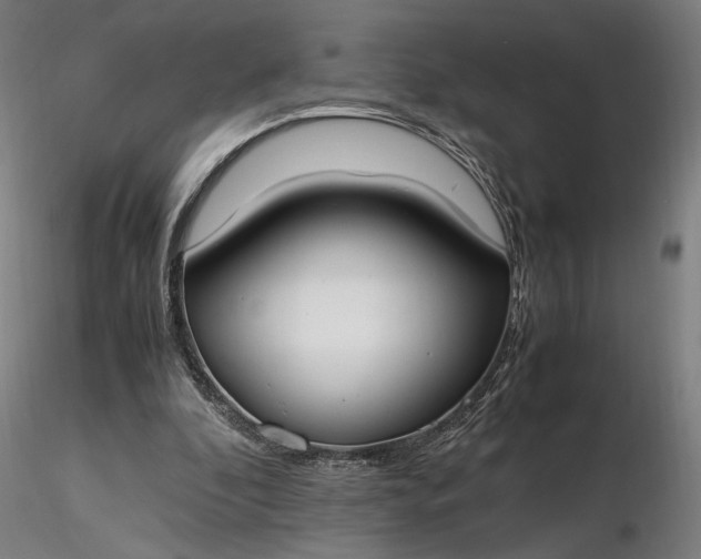 X0000116460296200912231406