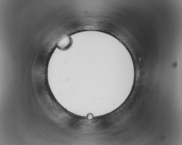 X0000116460297200912231406