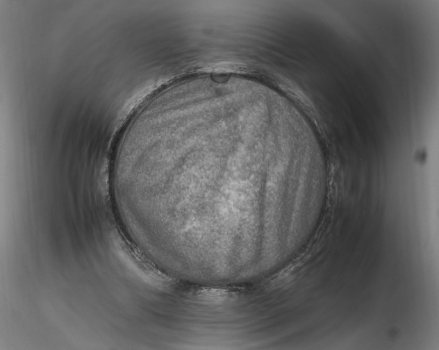 X0000116460298200912231406