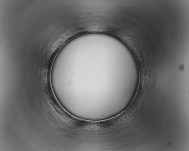 X0000116460299200912231406