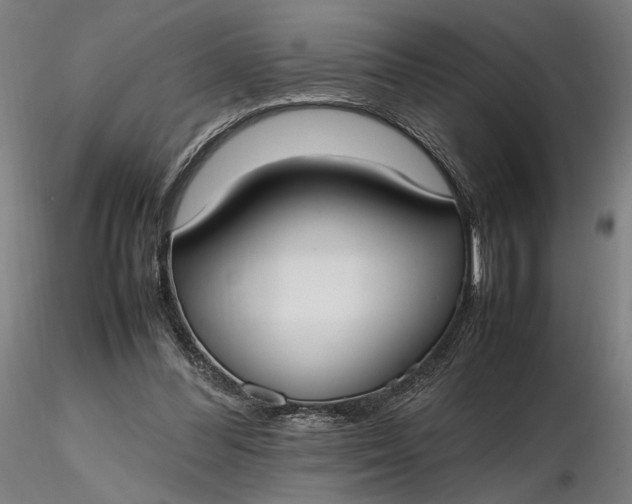 X0000116460300200912231406