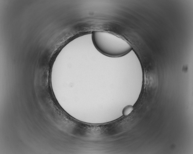 X0000116460301200912231406