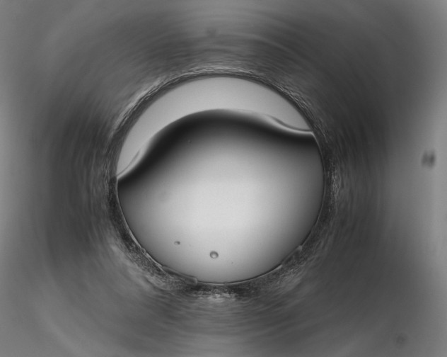 X0000116460304200912231406