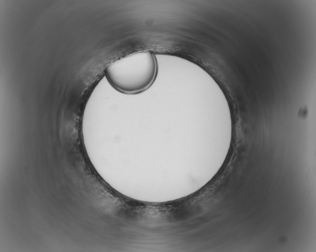 X0000116460305200912231406