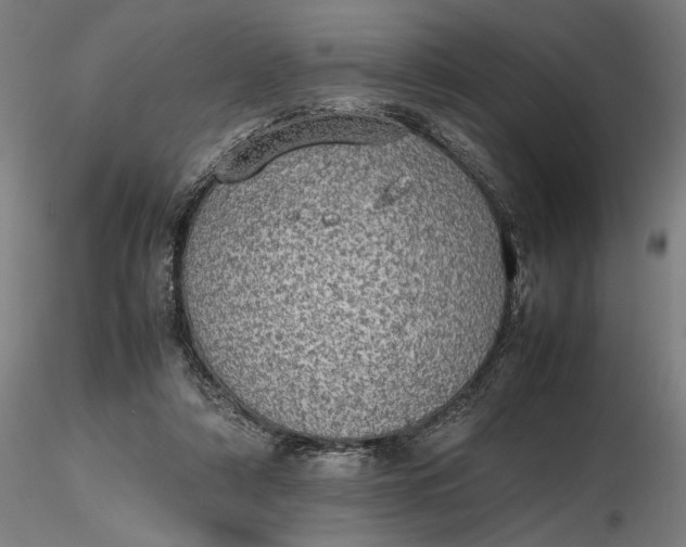 X0000116460306200912231406