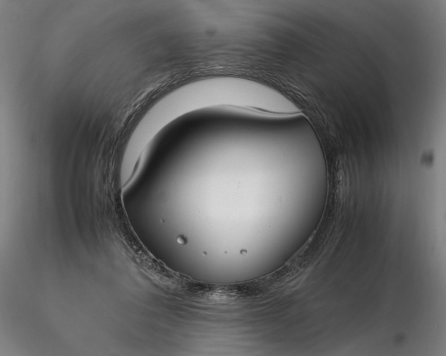 X0000116460308200912231406