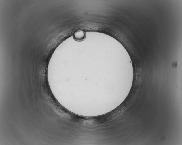 X0000116460309200912231406