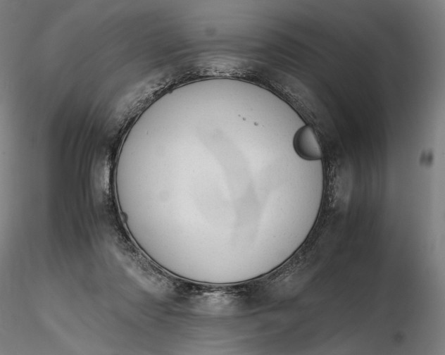 X0000116460310200912231406