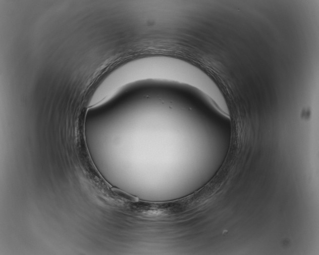 X0000116460312200912231406