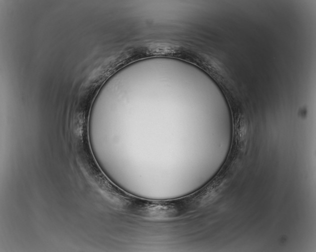 X0000116460315200912231406