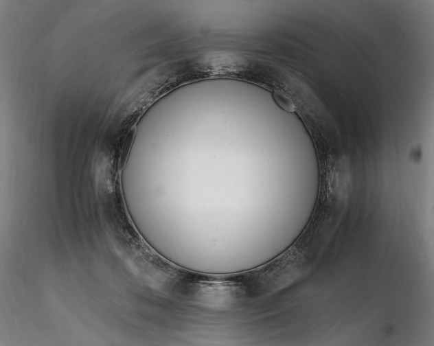 X0000116460316200912231406