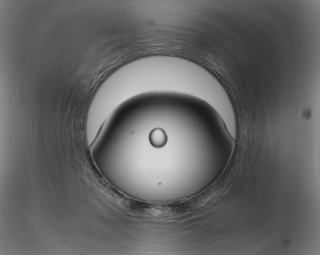 X0000116460317200912231406