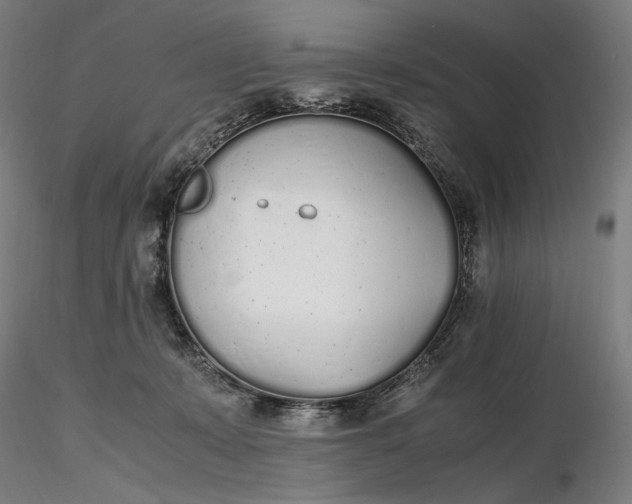 X0000116460319200912231406