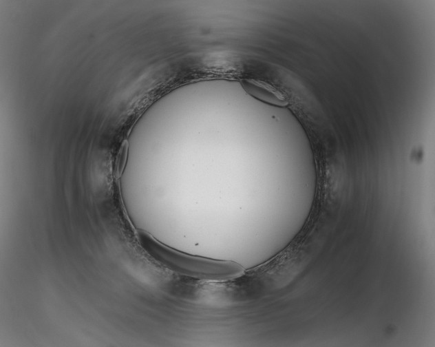 X0000116460320200912231406