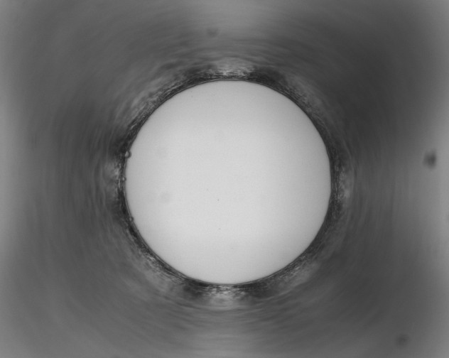 X0000116460321200912231406