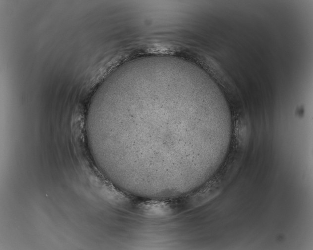 X0000116460322200912231406