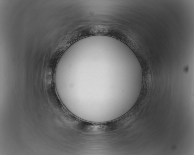 X0000116460323200912231406