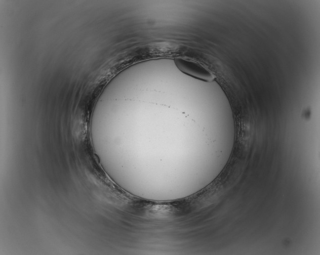 X0000116460324200912231406