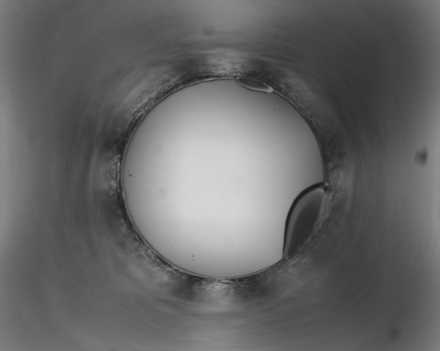 X0000116460325200912231406