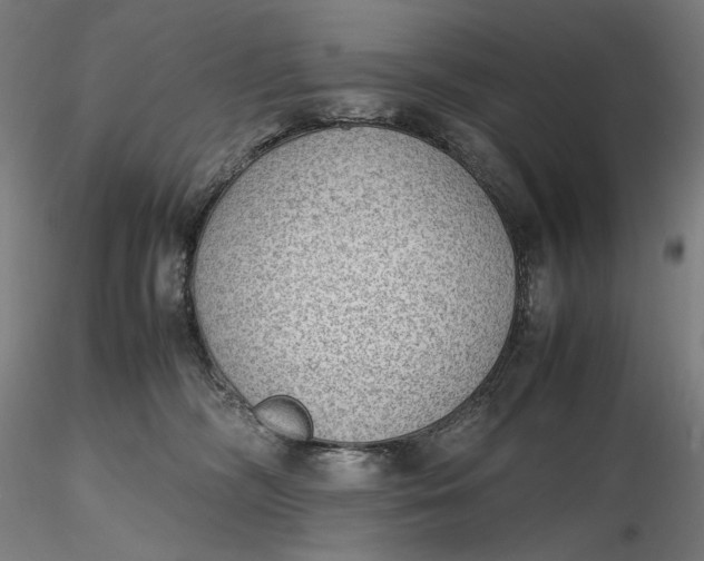 X0000116460326200912231406