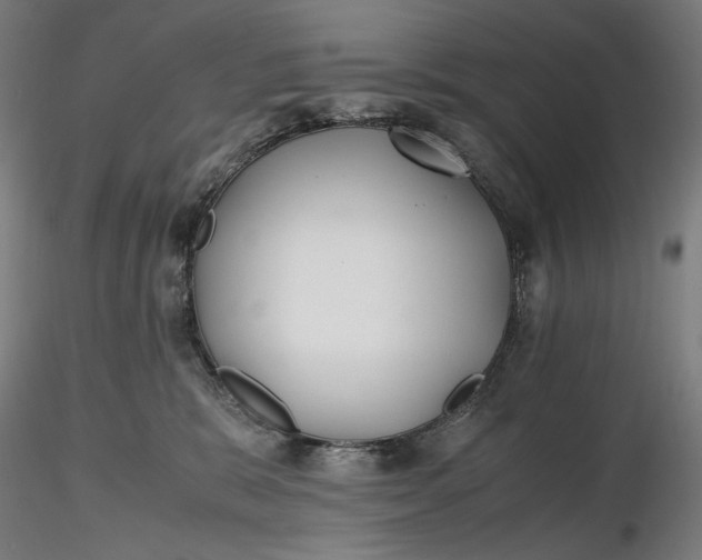 X0000116460327200912231406