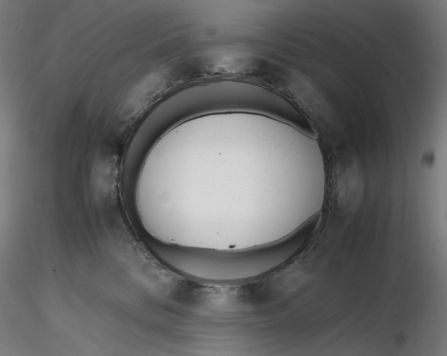 X0000116460328200912231406