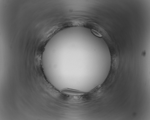 X0000116460329200912231406