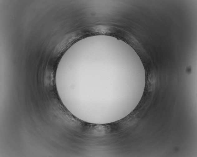 X0000116460330200912231406