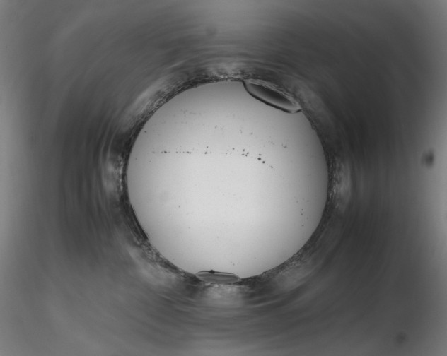 X0000116460332200912231406