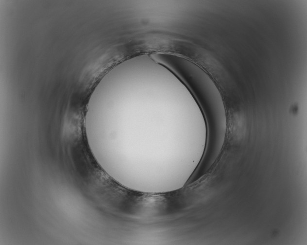 X0000116460333200912231406