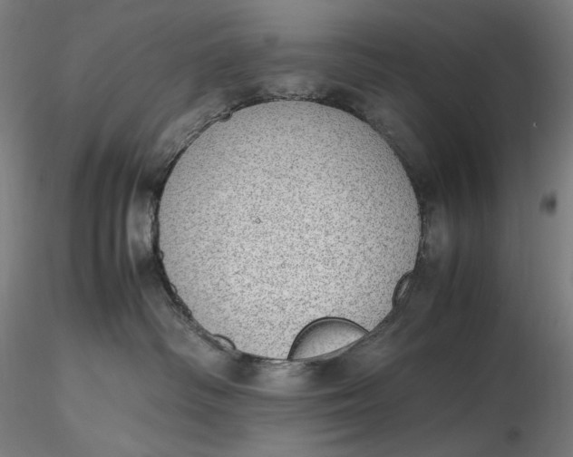 X0000116460334200912231406