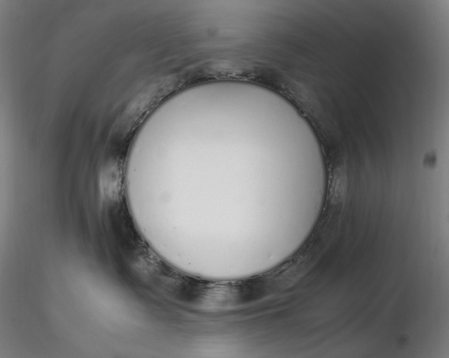 X0000116460335200912231406