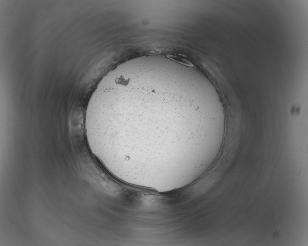 X0000116460336200912231406