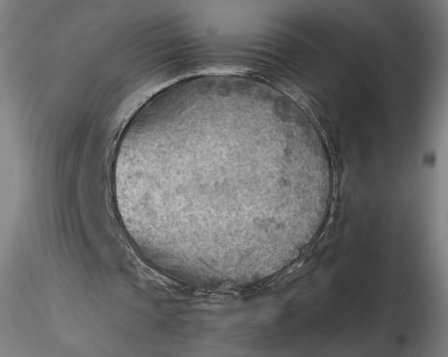 X0000116460337200912231405