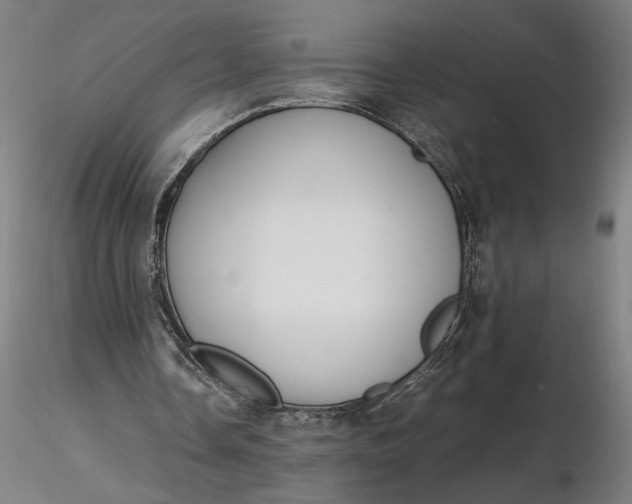 X0000116460338200912231405