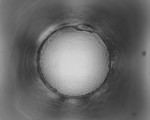 X0000116460341200912231405