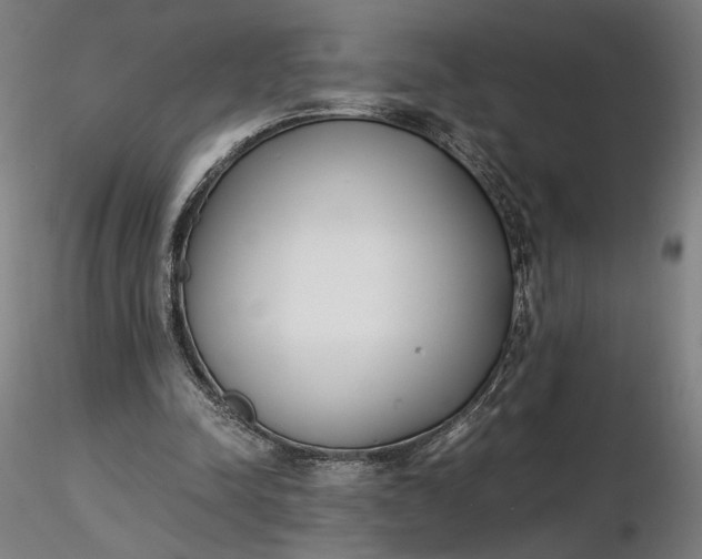 X0000116460342200912231405