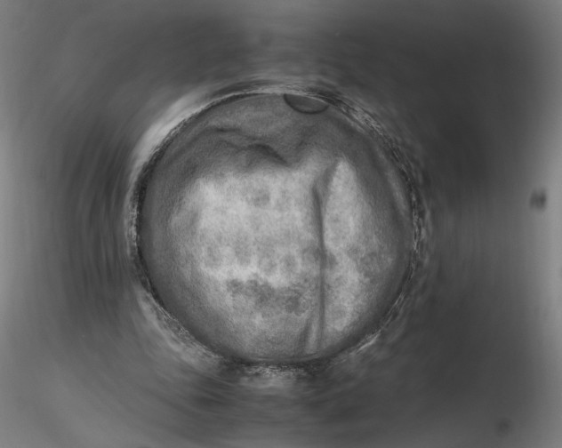 X0000116460343200912231405