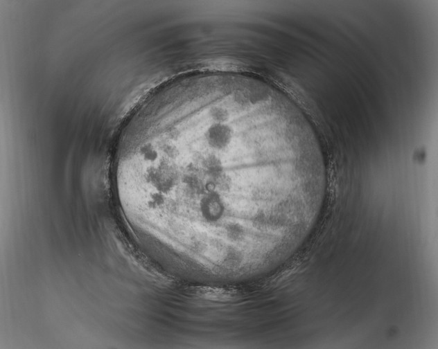 X0000116460347200912231405