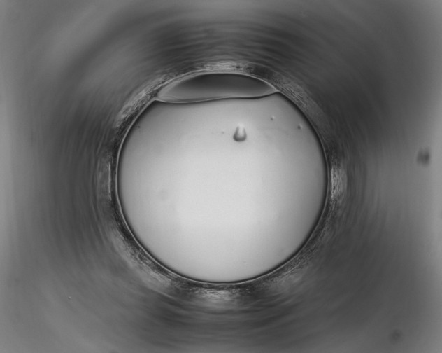 X0000116460349200912231405