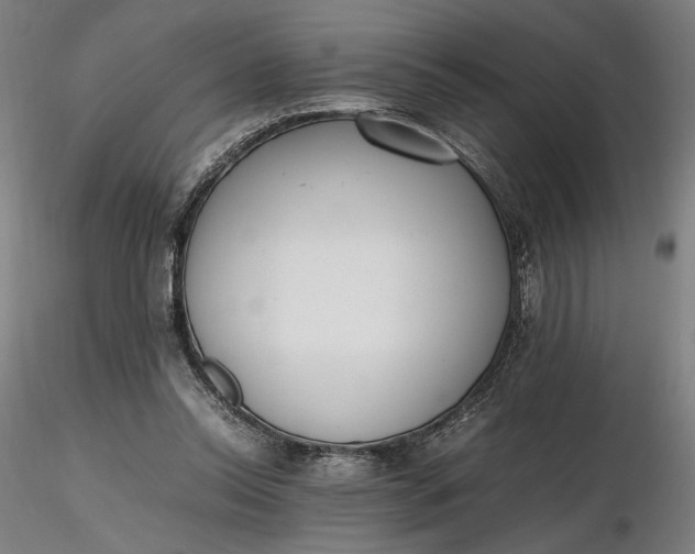 X0000116460350200912231405