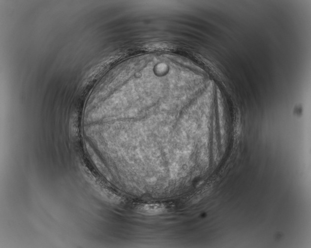 X0000116460353200912231405