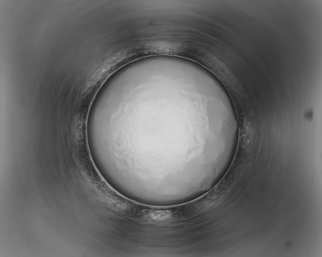 X0000116460355200912231406