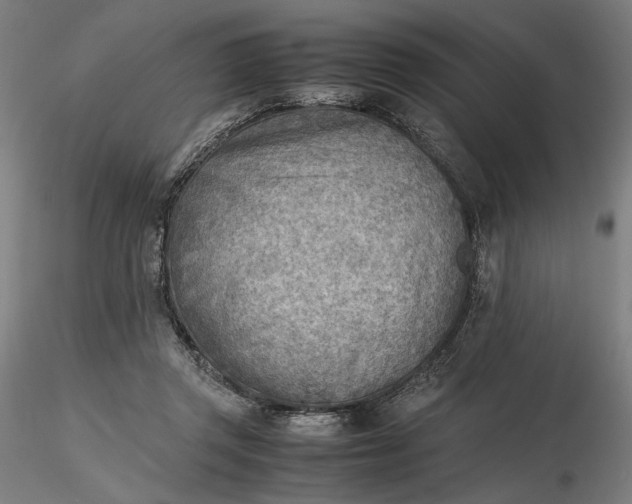 X0000116460357200912231406