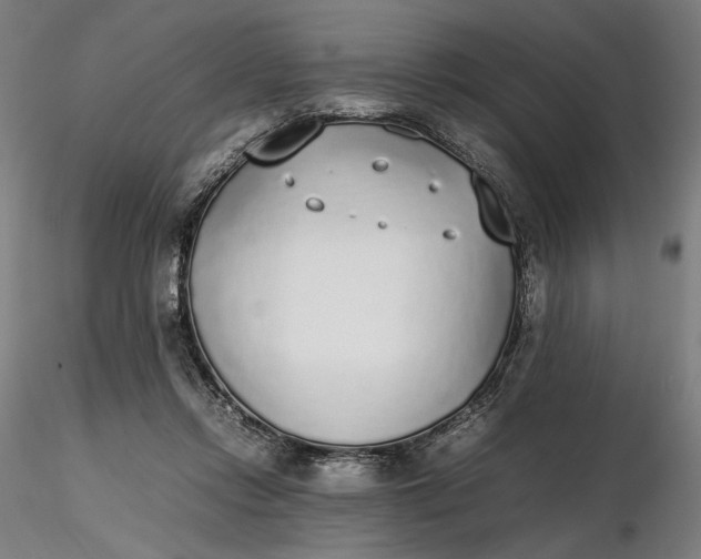 X0000116460358200912231406