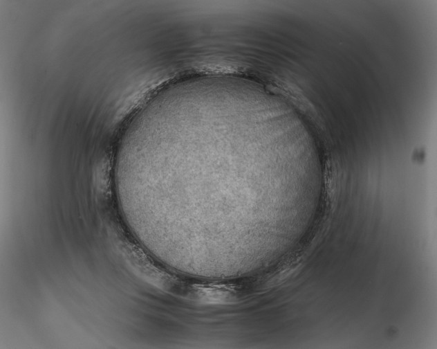 X0000116460359200912231406