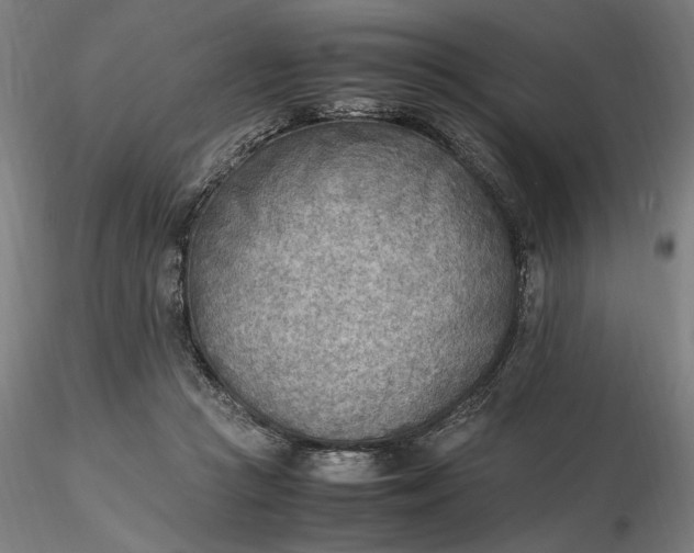 X0000116460361200912231406