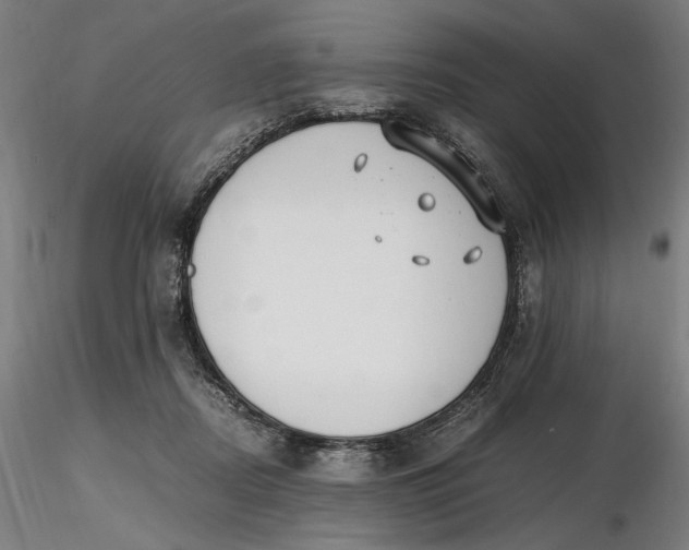 X0000116460362200912231406